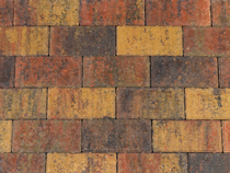 Kijlstra | Betonstraatsteen 21x10.5x6 | Bont GV