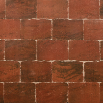 Excluton | Abbeystones 20x30x6 | Zomerbont