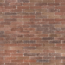 Excluton | Abbeystones Waalformaat 20x5x7 | Bont