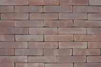 Excluton | Gebakken Waalformaat 21x5x6 | Oud Loosdrecht
