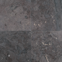 Excluton | Siam Bluestone 50x50x2.5 | Verzoet