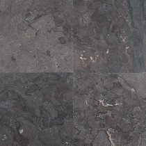 Excluton | Siam Bluestone 80x80x3 | Verzoet