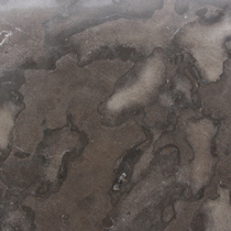 Excluton | Siam Bluestone 50x50x2.5 | Getrommeld