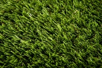 Netgras | Kunstgras Arizona