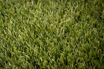 Netgras | Kunstgras California