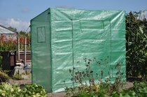 Royal Well | Foliekas Tasty Tomato