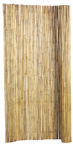 Woodvision | Bamboescherm | 180 x 180