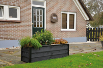 Plantenbak Lavendel Module B