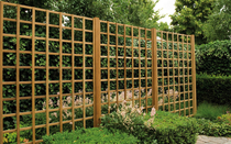 Trellisscherm | Exotic | 91