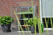 Royal Well | Patiokas Grow Station