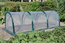Royal Well | Folietunnel Sweet Rocket