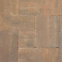 Excluton | Abbeystones Wildverband | Zomerbont