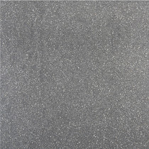 Gardenlux | Fossil Line 60x60x4 | Lingula
