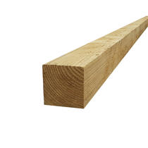 Douglasvision paal | 100 x 100 mm | Geïmpregneerd | 300 cm