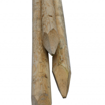 Perkoenpaal | Onbehandeld | D12 | 160 cm