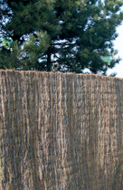 Exterior Living | Ericamat 180x300 cm