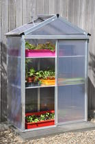 Royal Well | Plantstation