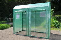 Royal Well | Maxi Tomato
