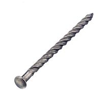 RVS-slagschroefnagels 40x2.5 mm [1
