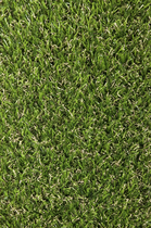 Gardenlux | Grass Art | Lifestyle