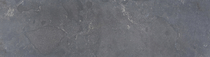 Gardenlux | Vijverrand Asian Bluestone | 3x20x100