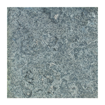 Gardenlux | Flamed Bluestone 50x50x3
