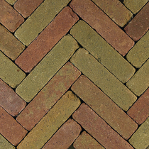 Gardenlux | Retrostones 5x20x8 | Lizard