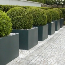 Polyester bloembak Buxus PB1