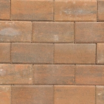 Excluton | Betonstraatsteen 21x10.5x6 | Terborgbrons
