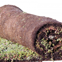 Aquaplan | Groen Dak Sedum Beplanting | Rol