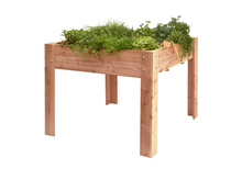 Douglas Mini garden op poten