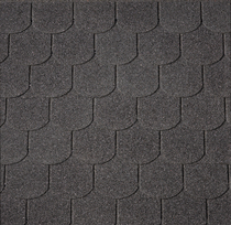 Aquaplan | Easy-Shingle Special | Beverstaart | Zwart | 5 Tabs