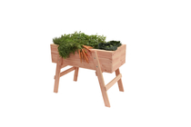 Douglas Mini garden décor
