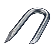 Krammen gegalvaniseerd 2.4x25mm