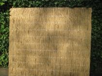 Westwood | Rietplaat Nagy | 100 x 200 cm