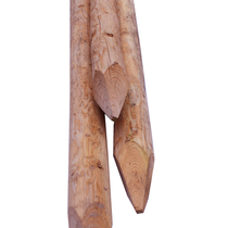 Douglas Perkoenpaal | D9/12 | 120 cm