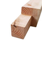 Douglas hoekpaal | 140 x 140 mm | Sc. 250 cm met keep