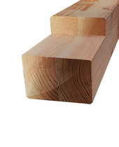 Douglas tussenpaal | 150 x 150 mm | 250 cm met keep