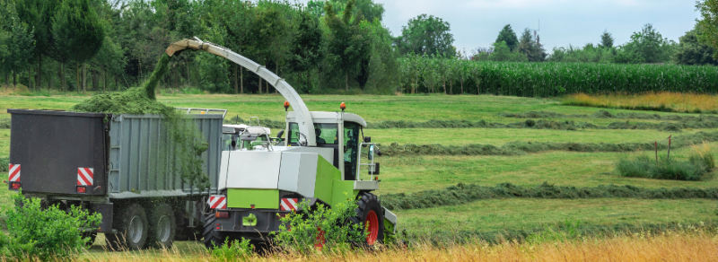 NWF Silage Additives NWF Silage Additives