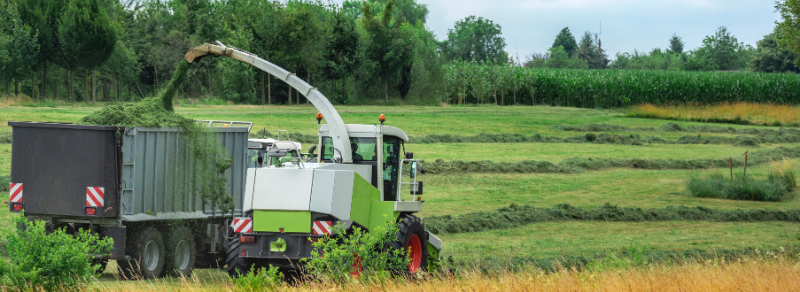 NWF Silage Additives