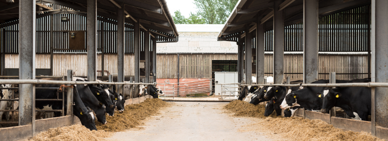 Minerals Department Minerals Department