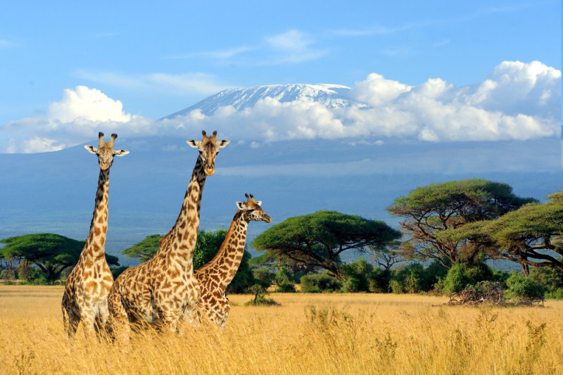 10 cose da non perdere in Kenya