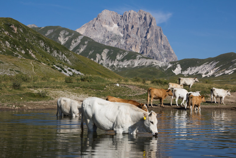 Cosigli per visitare il Gran Sasso
