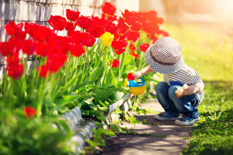 Decorare il giardino: idee per la primavera