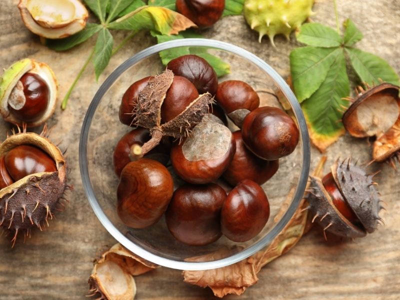 Come bollire i marroni