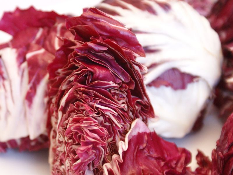 Come preparare i crostini con paté di radicchio