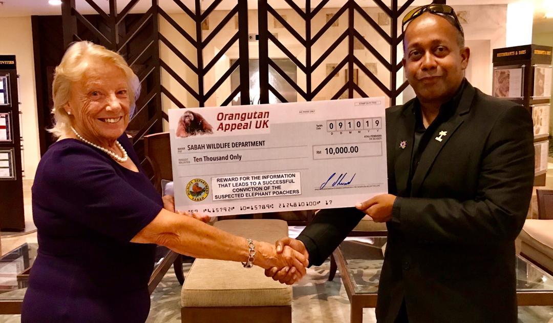 Sue Presents Rm10 000 Reward To Sabah Wildlife Department Orangutan Appeal