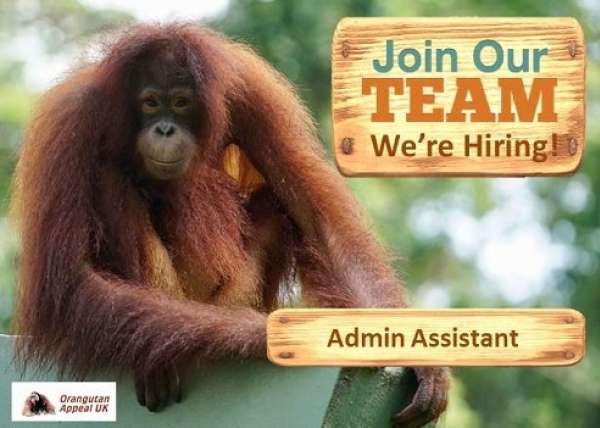 Join Our Team Admin Assistant