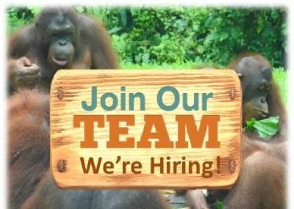 Join Our Team