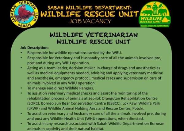 Wru Wildlife Veterinarian Advert